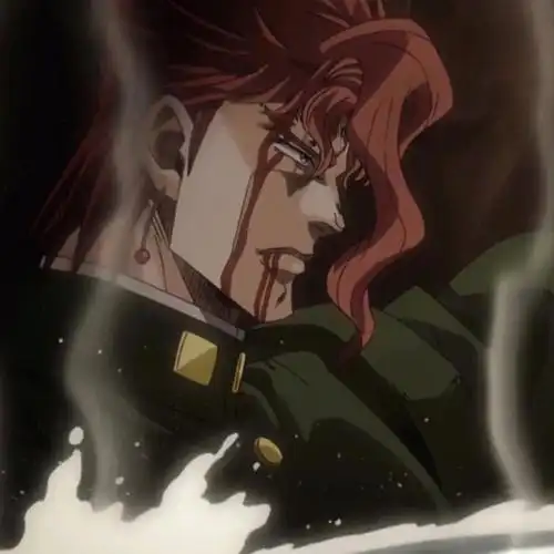 替身百科花京院典明