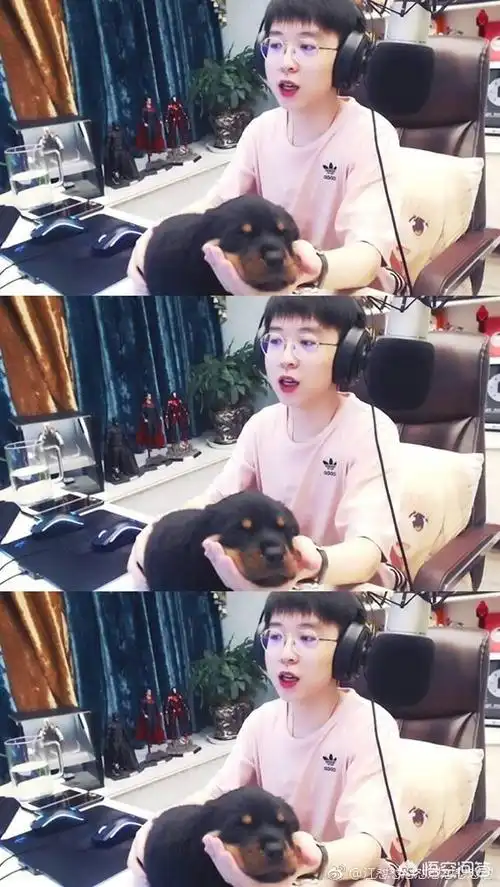 楚河揭露嗨氏真相,张大仙跟嗨氏撕的起来吗?