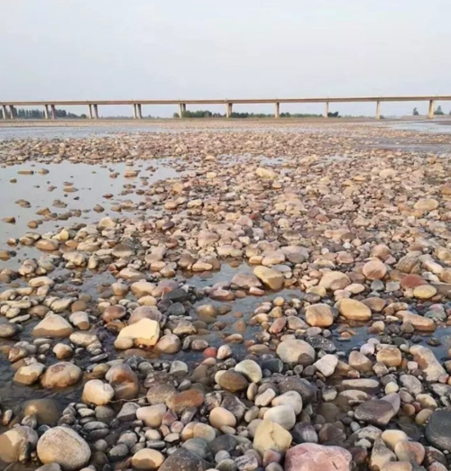 洛阳黄河滩惊现"中华龙图腾"奇石