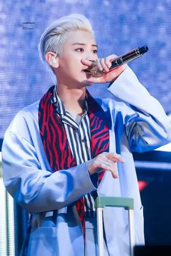 朴灿烈 chanyeol 舞台生活