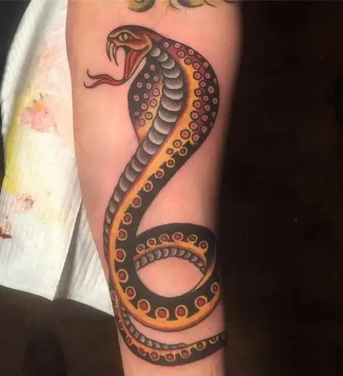 小动物纹身 男生手臂上凶猛的蛇纹身图案