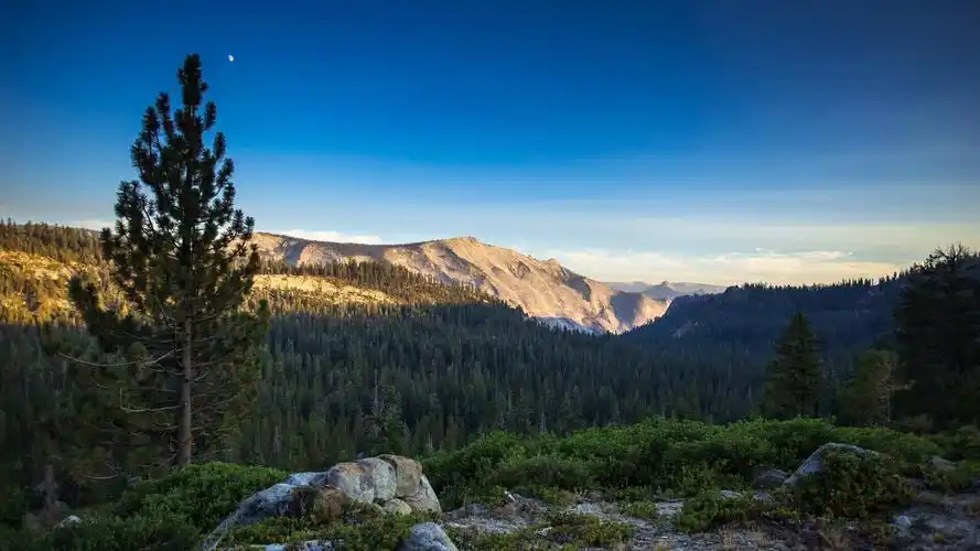 国家森林公园高清5k动态壁纸- 风景壁纸下载,美景大图,动态壁纸下载