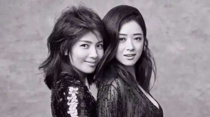 刘涛蒋欣互撕,娱乐圈到底有哪些塑料姐妹情