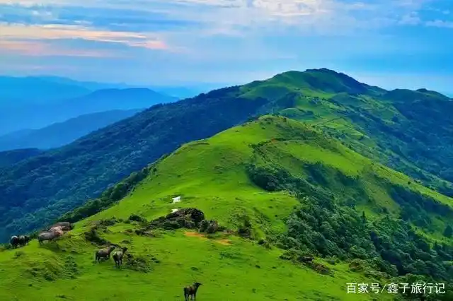 广西私藏的高山草甸,未经开发的绝美露营地,你去过吗?