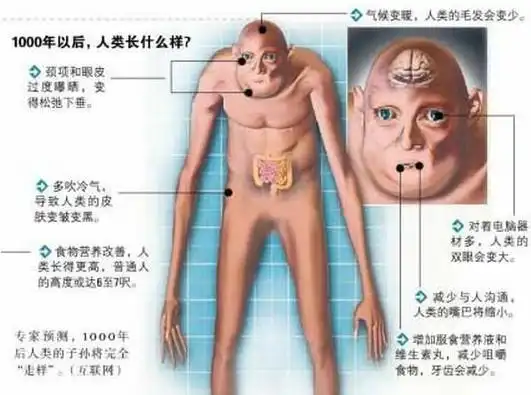 1000年后人类长啥样?