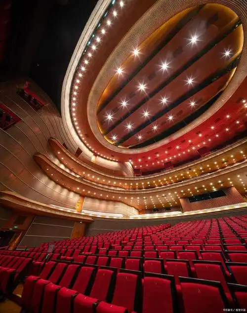上海大戏院是上海的一座历史悠久,极具文化底蕴的剧院.