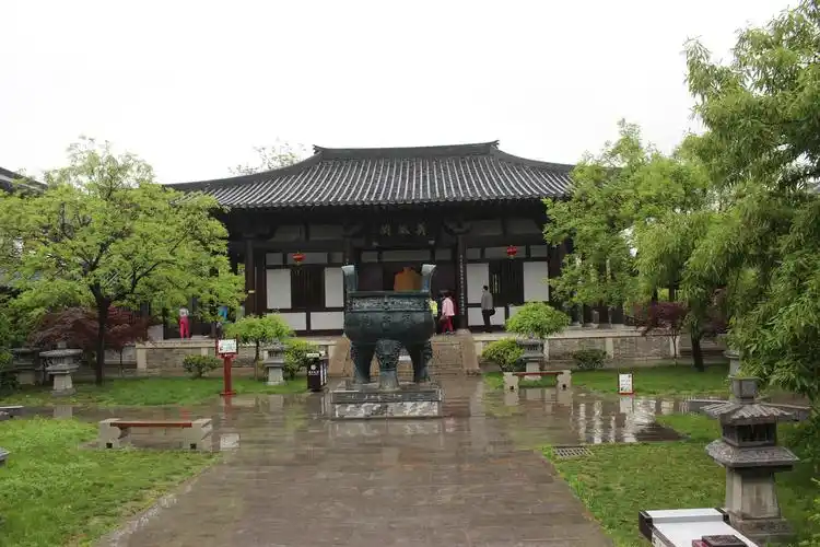 【假期游记】印象苏北行之游宿迁项王故里,赏衲田花海