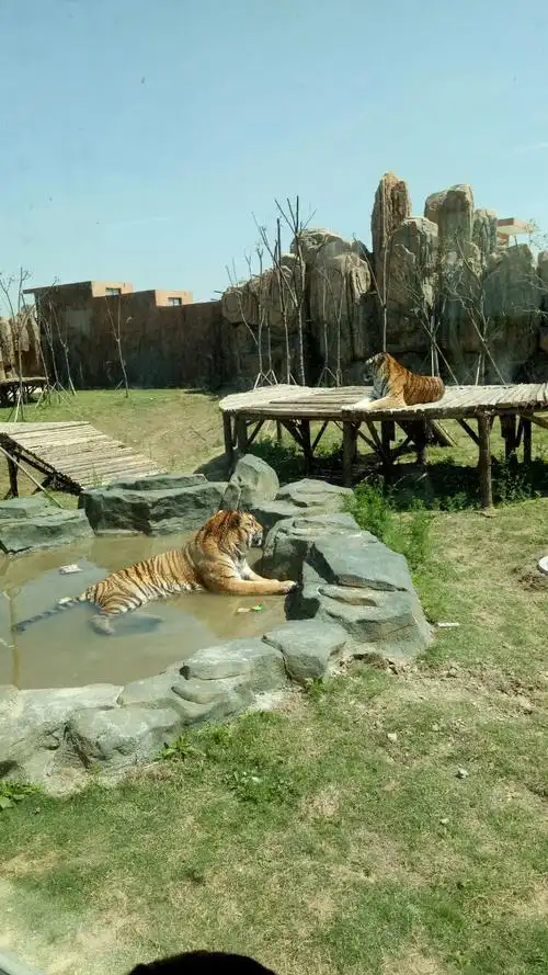 宿州野生动物园