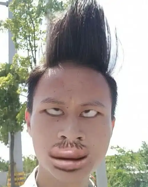 那个男的叫着如花,你可以去搜索到的这三张照片哪个男生第一眼觉得