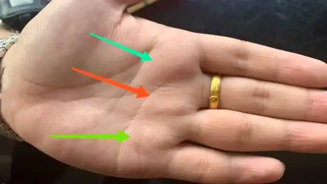 手中"福禄寿"三丘饱满,想不富裕都难