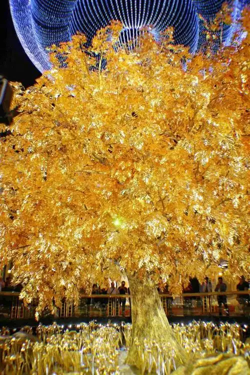 发财树和富贵龙