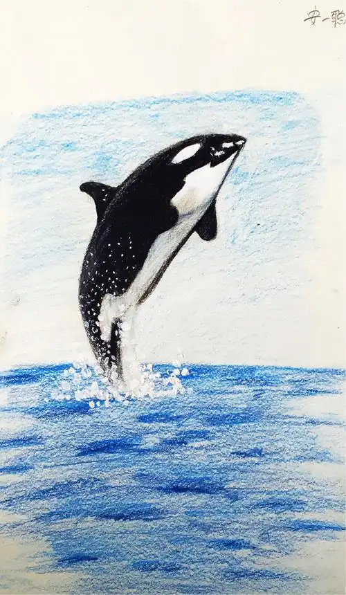 2017年6月11日《彩铅》 - 美篇