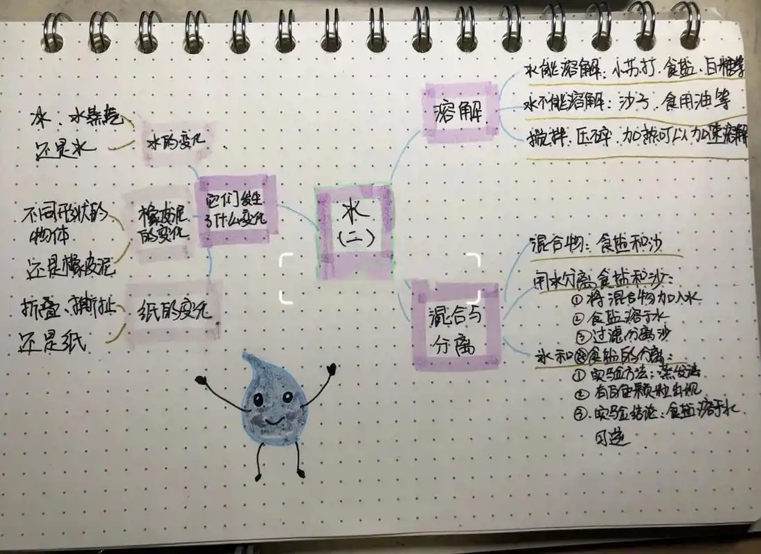 思维导图 都说三年级上的科学难度突然加深,都是家长们初中学习的内容