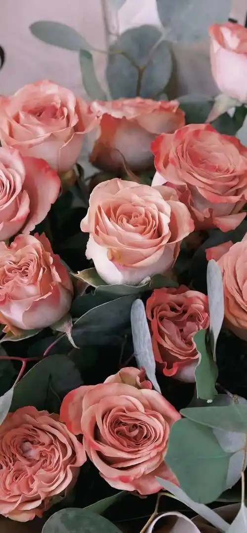 壁纸|高级感ins风壁纸