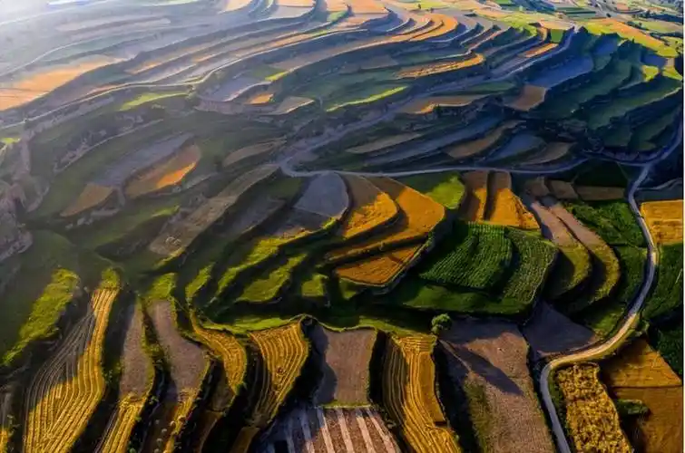 我国用70年治理黄土高原如今怎样了联合国曾说无可救药