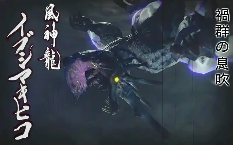 ns 怪物猎人崛起 轻弩无伤百龙夜行 风神龙