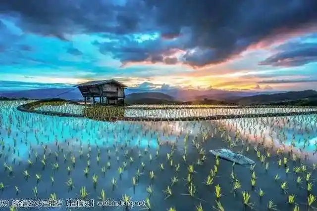 看完让人内心安静的照片,不信你看看