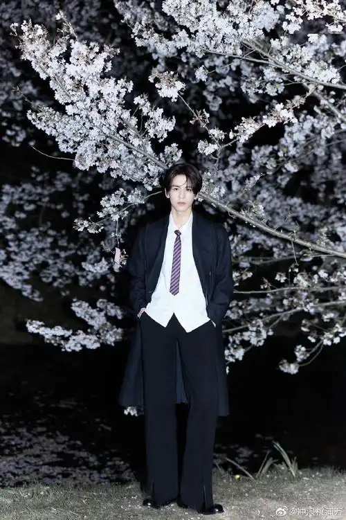 张凌赫一比一人形立牌有多高