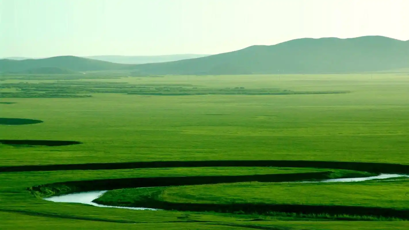 绿色系清新高清桌面壁纸