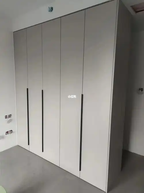 住友柜体搭配爱格门板衣柜