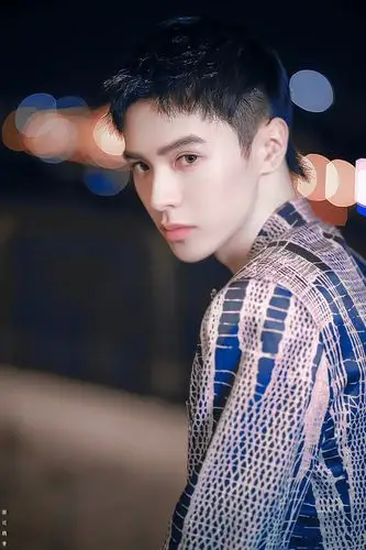 来个人科普王南钧公主排面