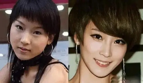 谢楠被爆整容对比照 但是吴京仍然爱着她