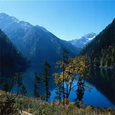 特别好看也很真实的风景头像 绿色森系微信头像比较合适的风景_风景