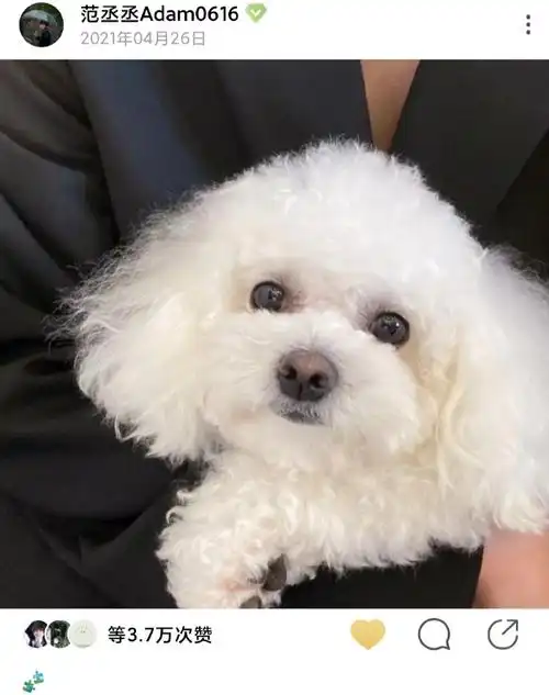 范丞丞超话fcc#范丞丞时空胶囊#    【存|绿洲|2021.4-2021.