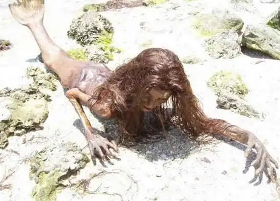 某海滩被曝惊现两具"美人鱼"尸体 面目狰狞(图)