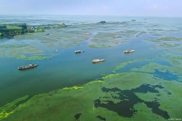鄱阳湖,位于中国江西省南昌市鄱阳县境内,是中国最大的淡水湖,也是