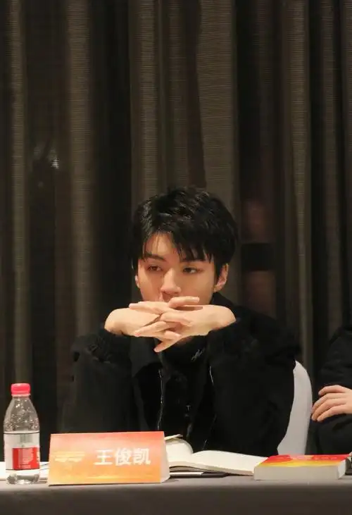 王俊凯北影节生图