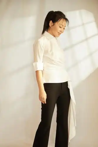 我和我的家乡首日票房破2亿闫妮亮相见面会知性减龄