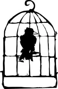 笼中鸟图片