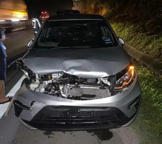 路虎被撞!260斤的马来亚虎被撞死亡,人类活动到底有多可怕?