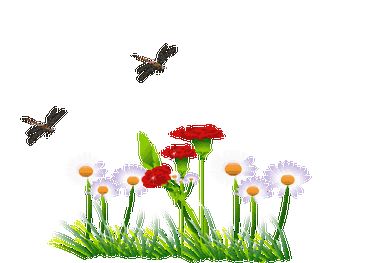 最是书香能致远,腹有诗书气自华.