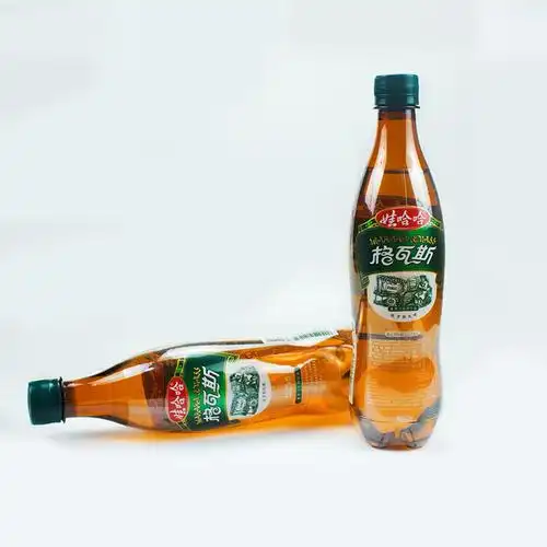 大瓶汽水新啤酒味 格瓦斯-1250ml*2瓶