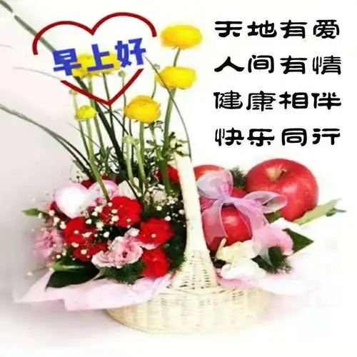 《早上好》 朋友圈的相互问候和美好的祝福