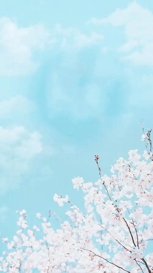 简约可爱清新软萌背景图片平铺素材锁屏壁纸ω71