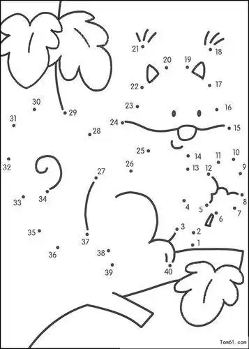 画线数学连线题连点成线益智涂色绘本2-3-4-5-6岁简笔画描画填色绘