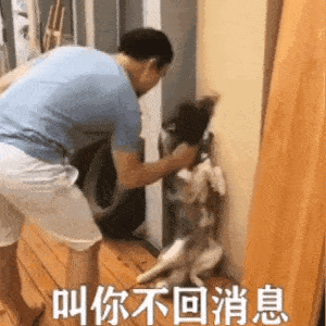 聊天可爱动图表情包