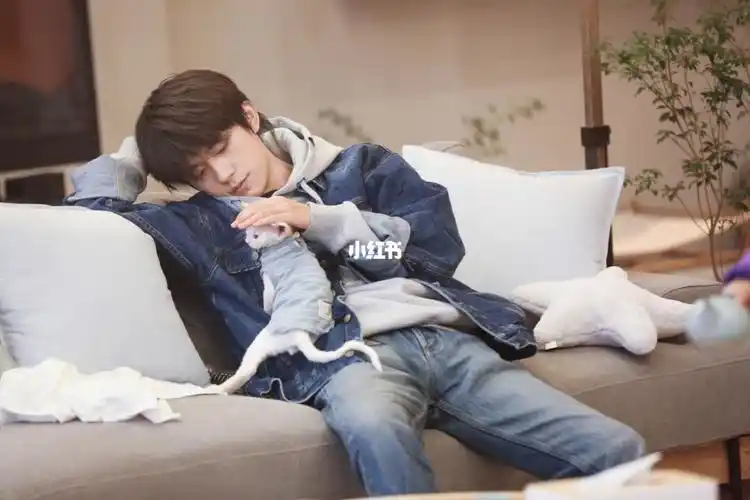 易烊千玺撸猫照片_男朋友_猫咪_人间理想易烊千玺_娱乐_明星娱乐资讯