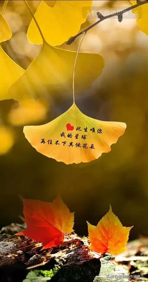 吹面不寒杨柳风意境美图(笑看花开,是一种美好的心情)