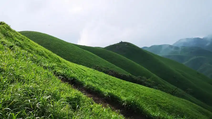 武功山之高山草甸