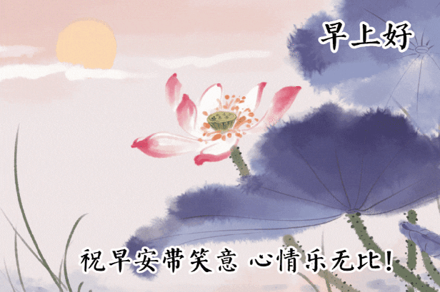 最美的早安动态祝福图片带祝福的早安表情包