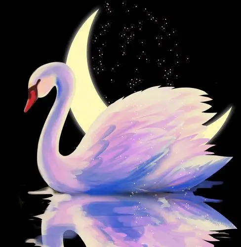 手绘临摹天鹅|插画|创作习作|暖色cheeks - 原创作品 - 站酷 (zcool)