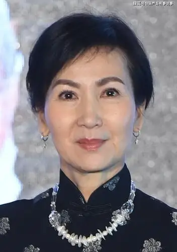 1978年,陈美琪出演了第一部tvb的116集长篇电视剧《强人》.