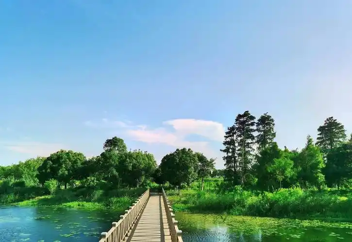 长荡湖湿地公园,位于溧阳上黄镇的西北部,景色优美值得一游_休闲_游人
