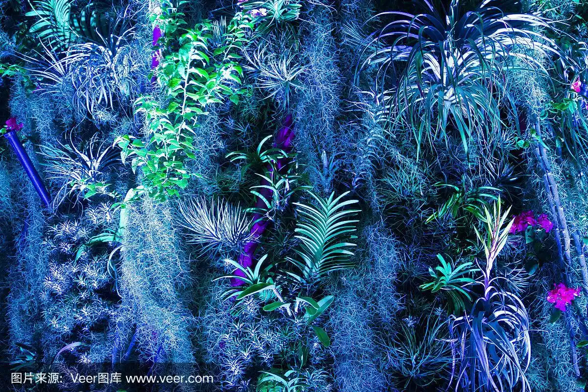 蓝色灯光下的阿凡达植物