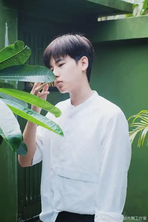 白色衬衫春暖花开胡先煦