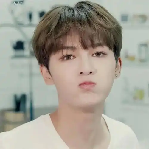 微信头像朱正廷